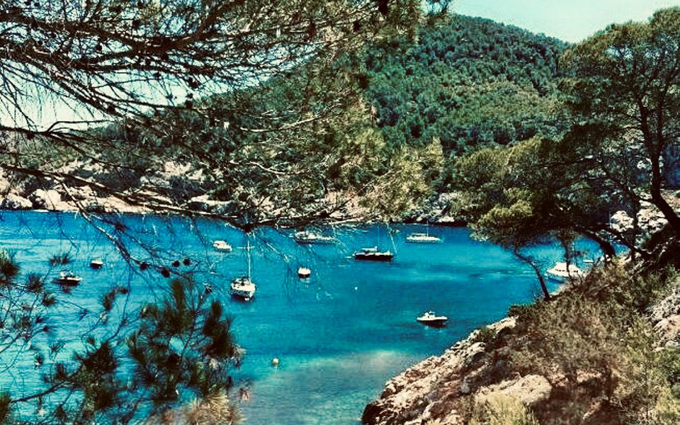 Bucht in Ibiza mit Segelschiffen