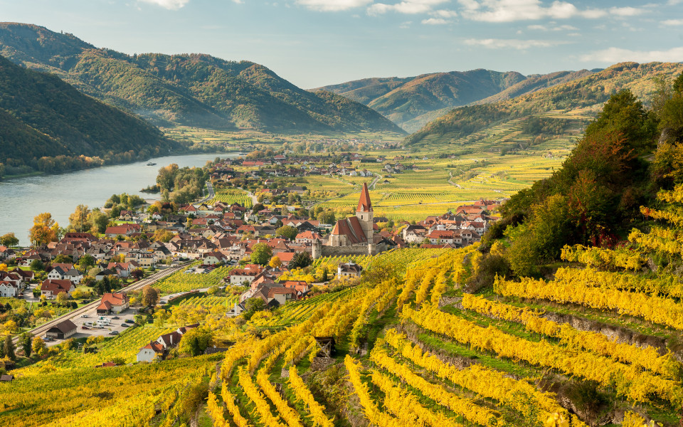 Weissenkirchen in Wachau (&Ouml;sterreich) im Herbst mit farbigen Bl&auml;ttern und Weinbergen